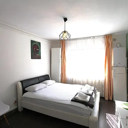 Casa Tudor Rares בראשוב