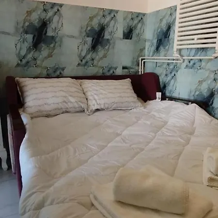 Casa Tudor Rares בראשוב