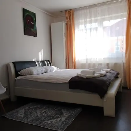Casa Tudor Rares Apartment Brasov