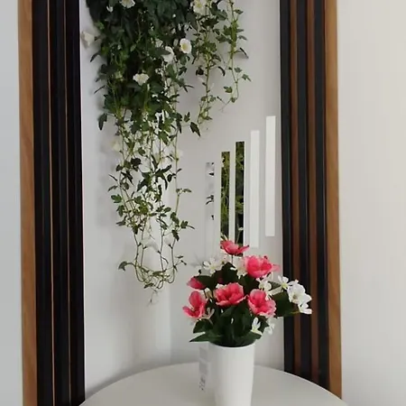 شقة Casa Tudor Rares براشوف