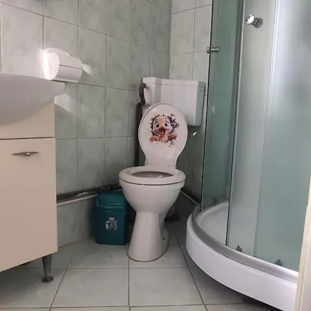 Casa Tudor Rares בראשוב