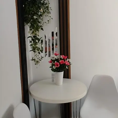 Casa Tudor Rares * براشوف