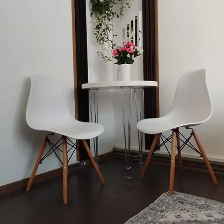 Casa Tudor Rares דירה בראשוב