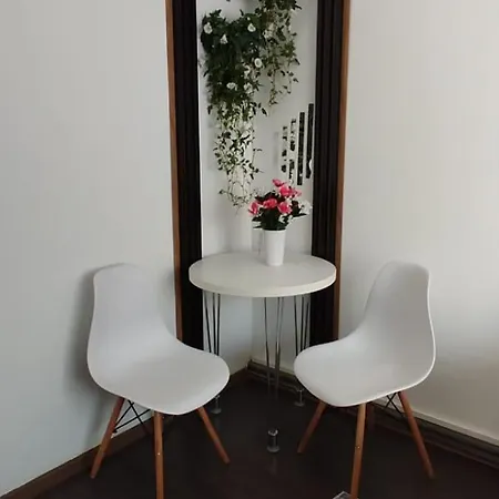 Apartment Casa Tudor Rares Brasov