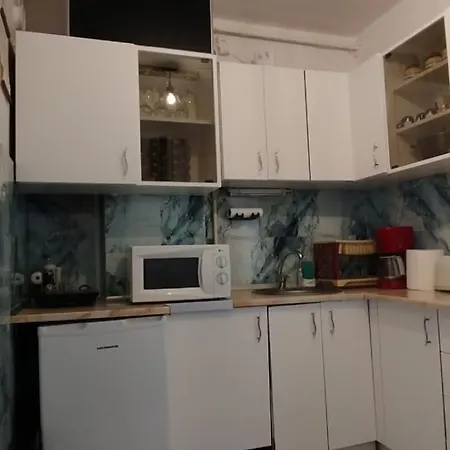 דירה Casa Tudor Rares *