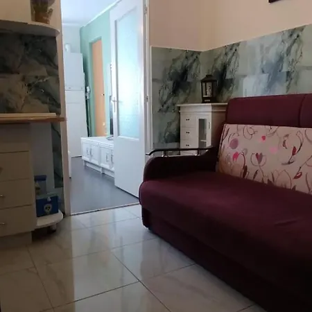 Casa Tudor Rares Apartment *