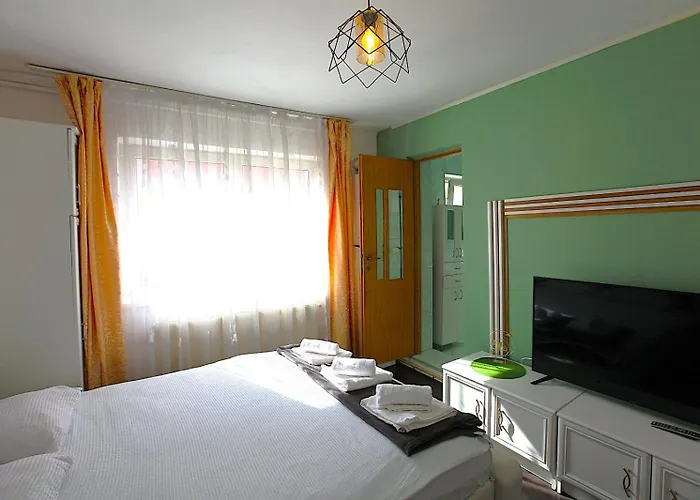 公寓 Casa Tudor Rares