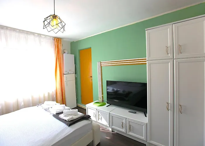 Casa Tudor Rares 公寓 *