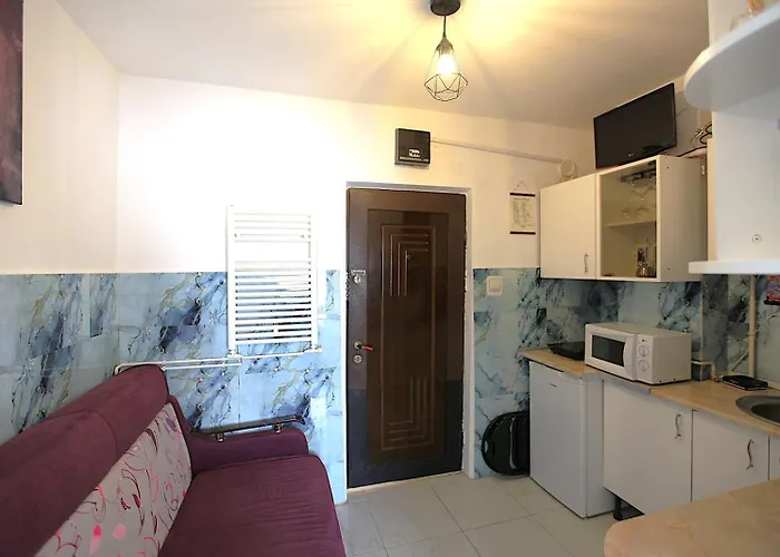 公寓 Casa Tudor Rares 布拉索夫