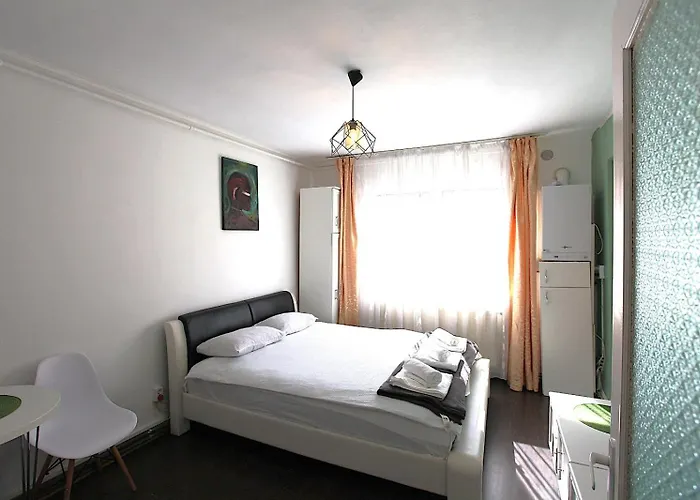 Casa Tudor Rares 布拉索夫