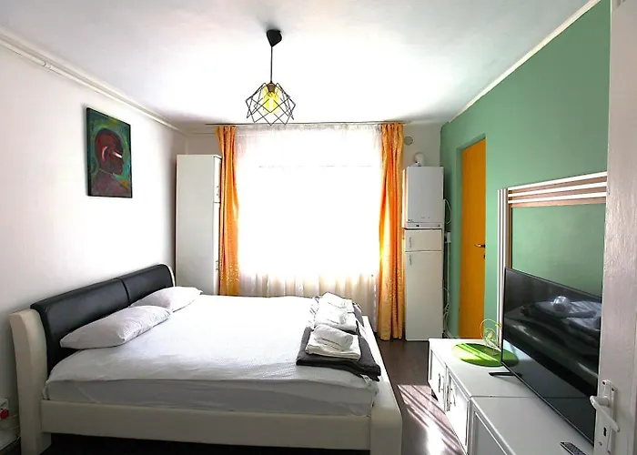 Casa Tudor Rares 公寓 布拉索夫