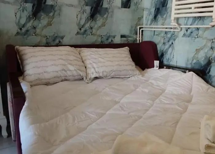 Casa Tudor Rares 布拉索夫