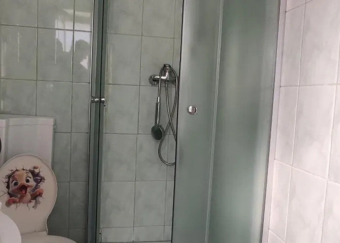 公寓 Casa Tudor Rares 布拉索夫