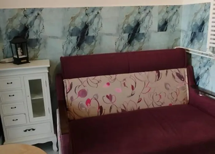 Casa Tudor Rares 公寓 *