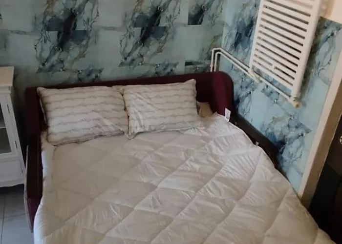 Casa Tudor Rares 公寓 *