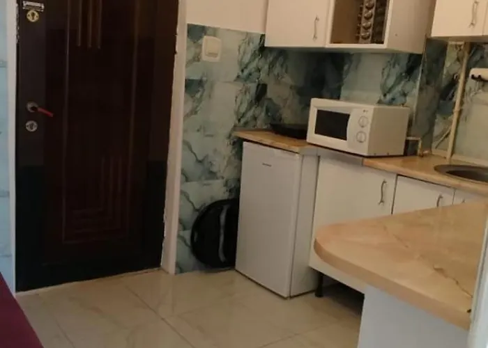 Casa Tudor Rares * 布拉索夫