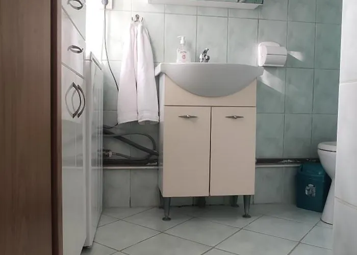 Casa Tudor Rares 公寓