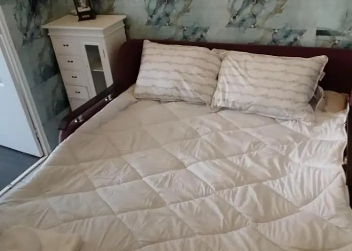 公寓 Casa Tudor Rares *