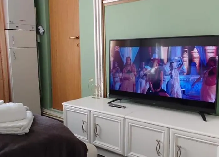 公寓 Casa Tudor Rares 布拉索夫