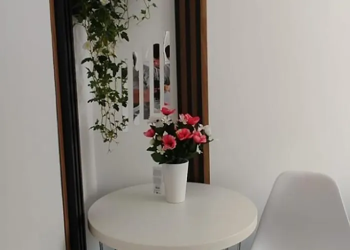 Casa Tudor Rares * 布拉索夫