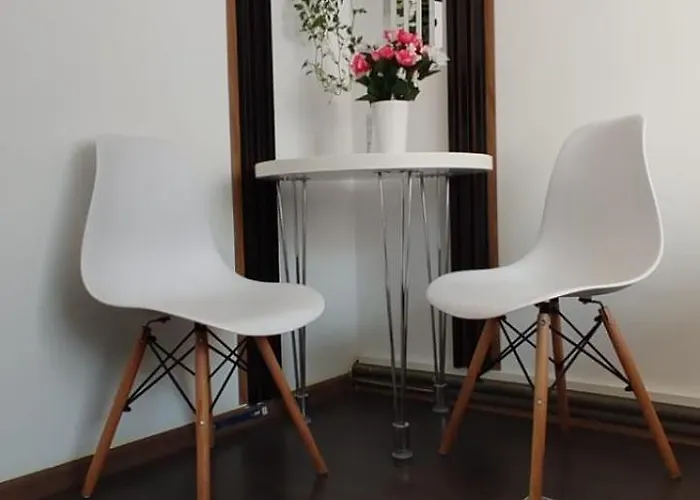 Casa Tudor Rares 公寓 布拉索夫