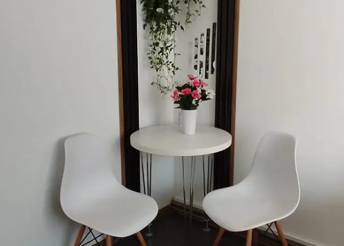 公寓 Casa Tudor Rares 布拉索夫