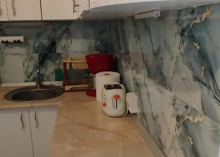 Casa Tudor Rares 布拉索夫