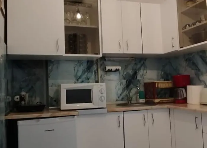 公寓 Casa Tudor Rares *