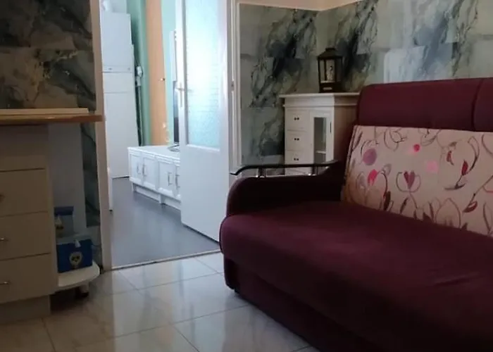 Casa Tudor Rares 公寓 *