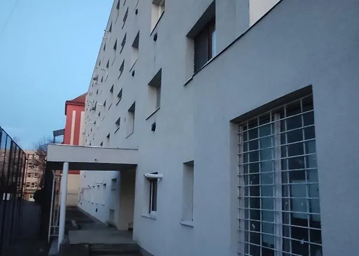 Casa Tudor Rares 公寓 *